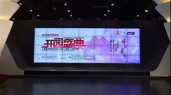 今天，全世界都在想方设法欺骗你；而我们始终如一