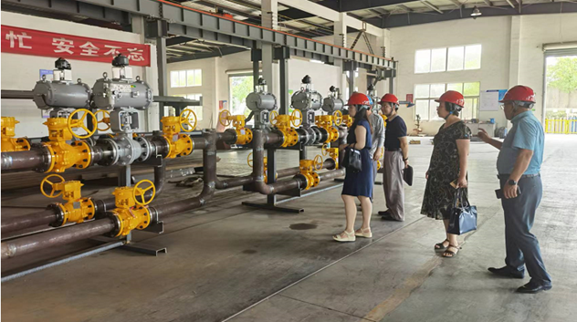 91视频在线网站