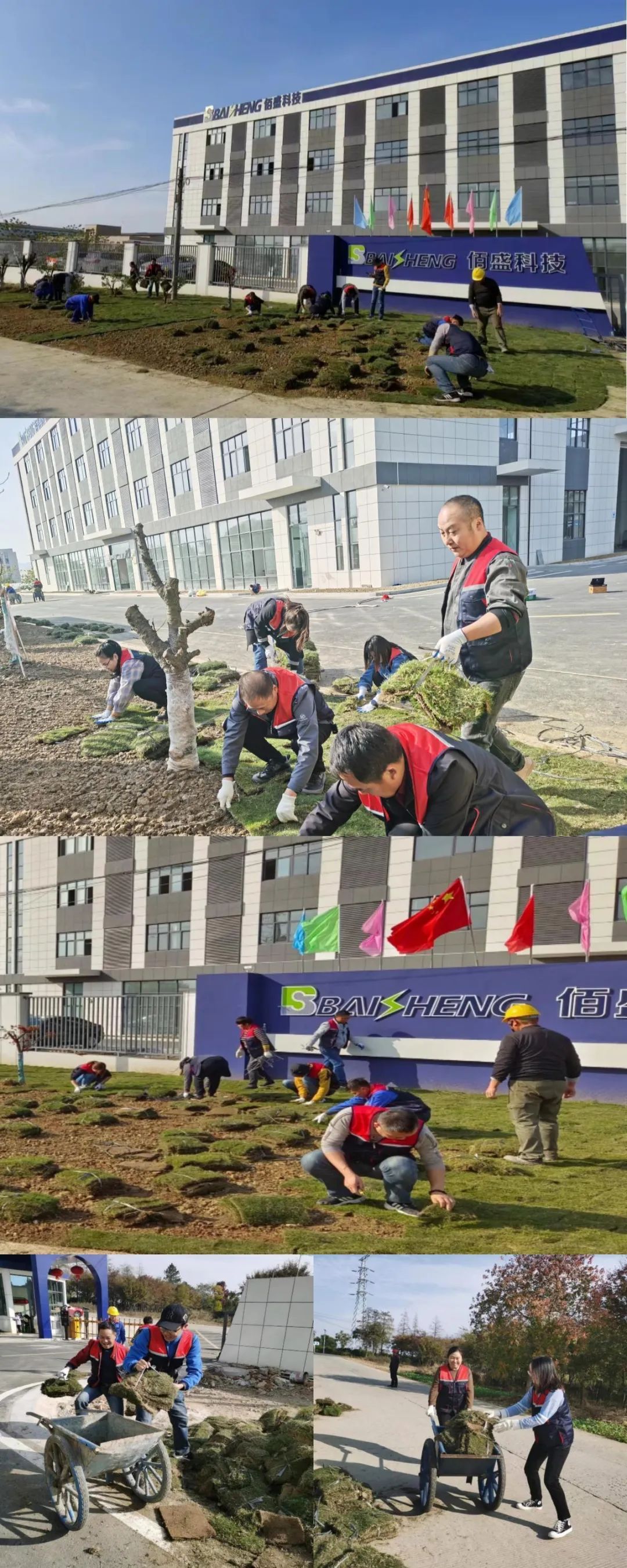 91视频在线网站