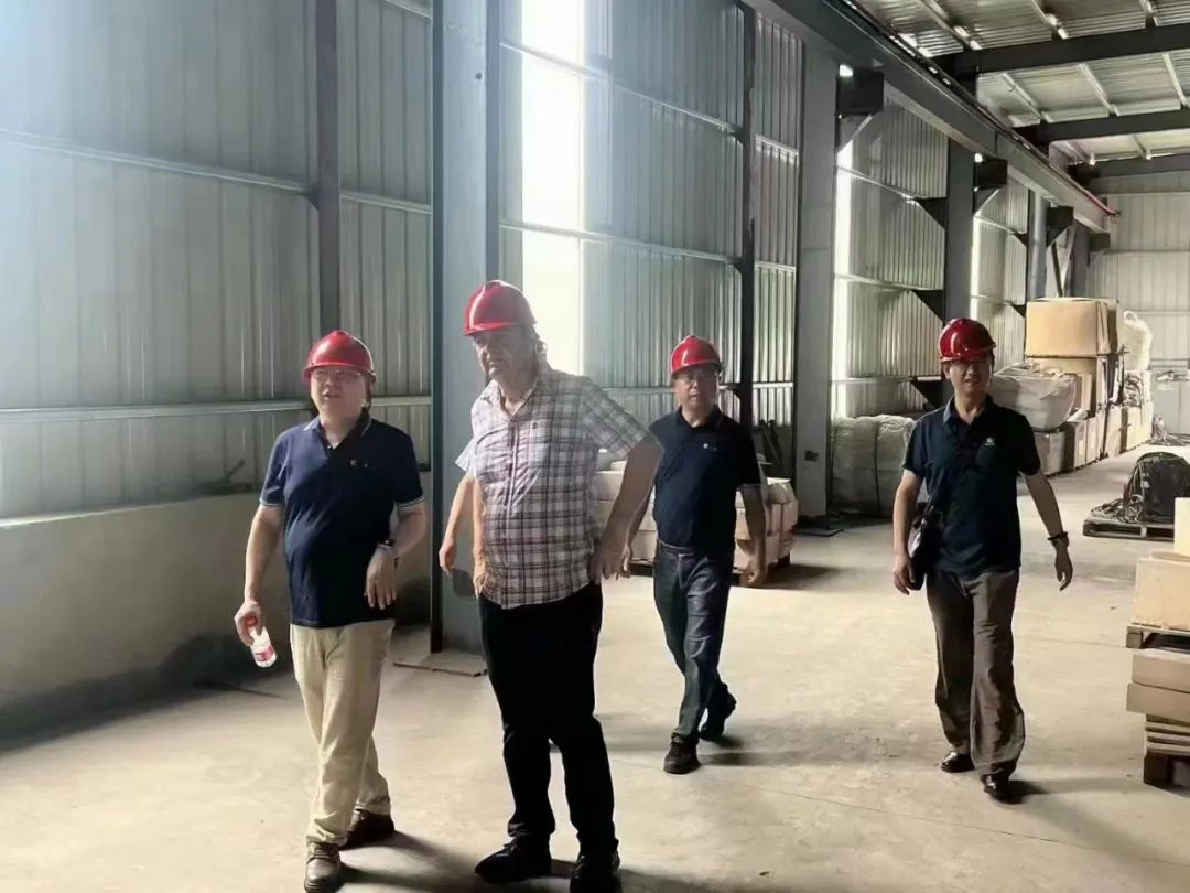 91视频在线网站