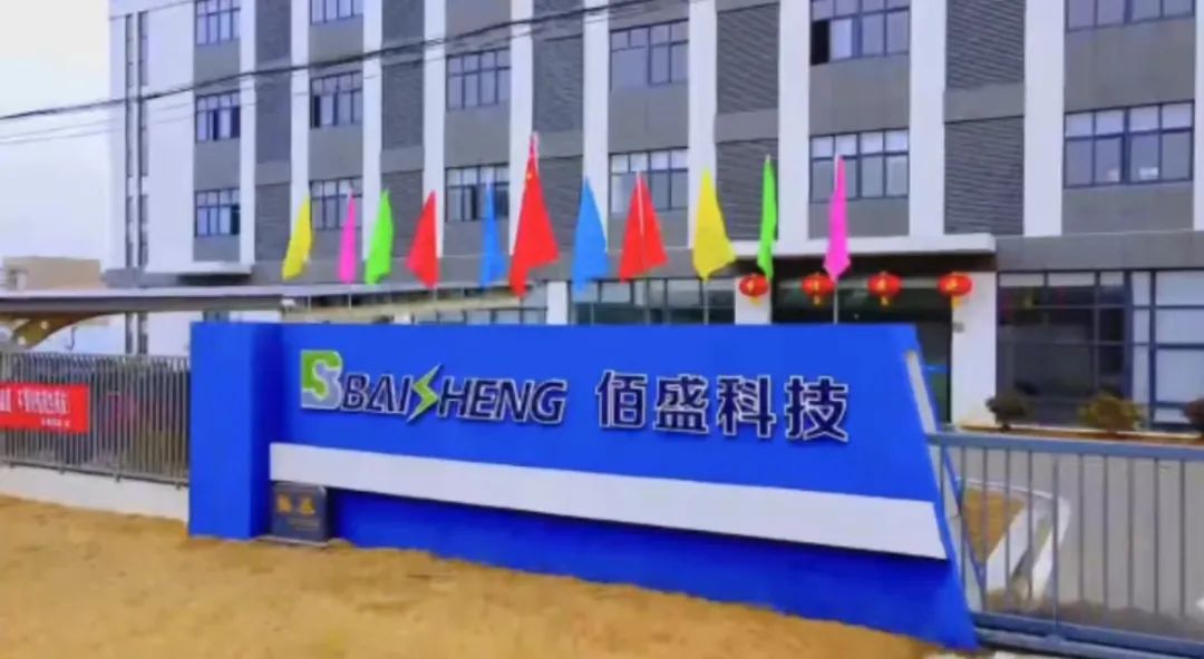 91视频在线网站