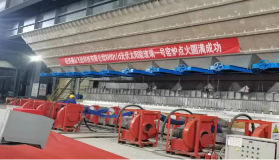 91视频在线网站