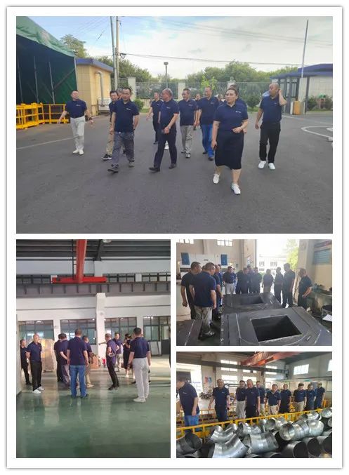 91视频在线网站